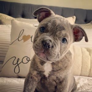 Meet your Posher, Ralph